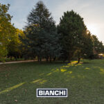 Lote Pinares 2002M10