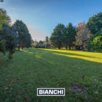 Lote Pinares 2002M15