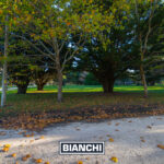 Lote Pinares 2002M23