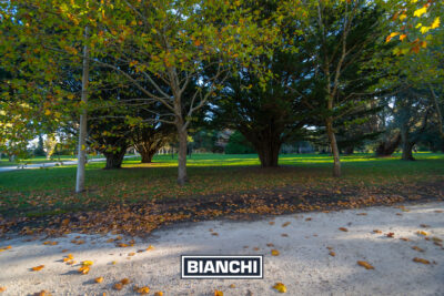 Lote en Barrio Pinares de Santa Clara - 2.117M - Imagen 17