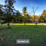 Lote Pinares 2002M27