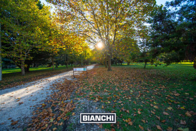 Lote en Barrio Pinares de Santa Clara - 2.117M - Imagen 14