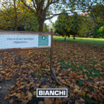 Lote Pinares 2002M30