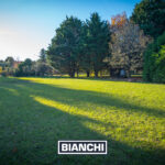 Lote Pinares 2002M5