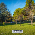 Lote Pinares 2002M9