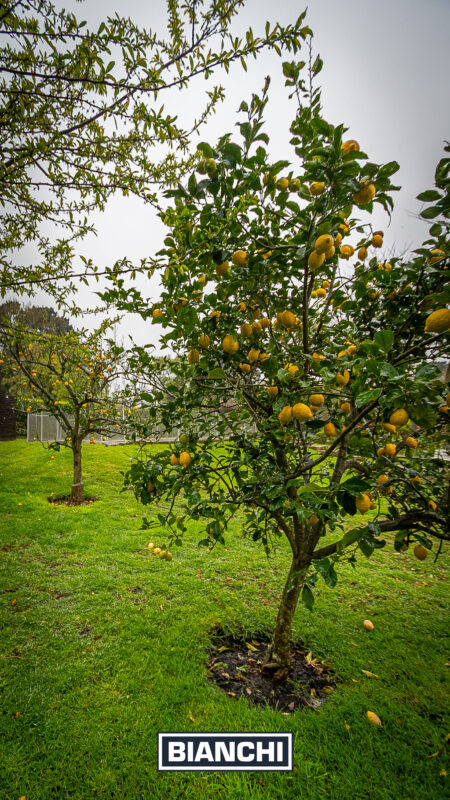 Ignacio 210, Sierra de los Padres23