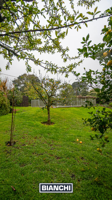 Ignacio 210, Sierra de los Padres24